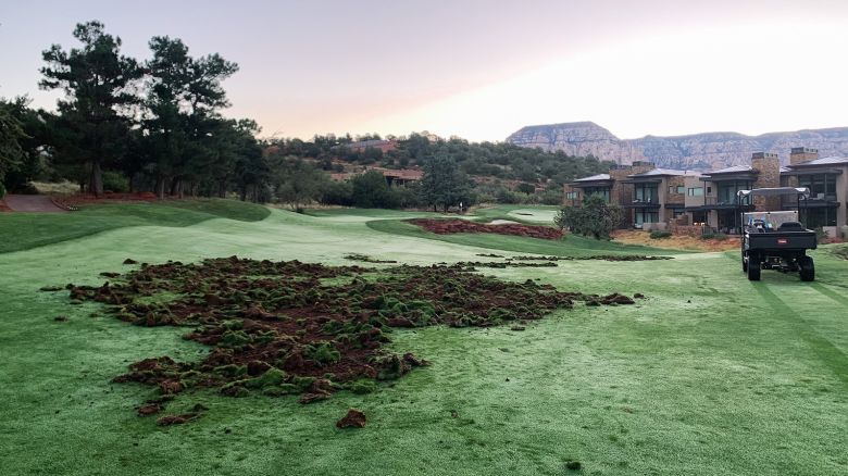 Story on Seven Canyons golf club in Arizona, who have been dealing with extensive damages from Javelina (also known as collared peccary or musk hog), who have been turning over the course turf in search of food. Interview with course general manager Dave Bisbee, with pictures provided by assistant superintendent Em Casey, who provided pictures.